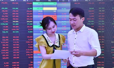 Môi giới chứng khoán đang là nghề hấp dẫn hơn bao giờ hết