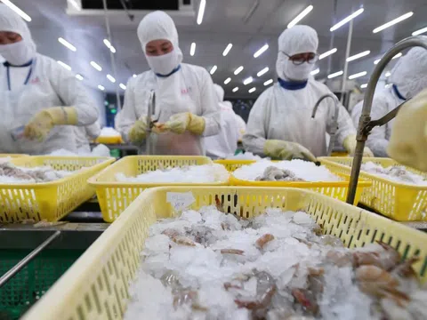 Lợi nhuận doanh nghiệp thủy sản bị bào mòn